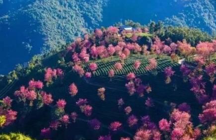 昆明适合拍照的景点有哪些,昆明大理周边旅游景点排名榜前十