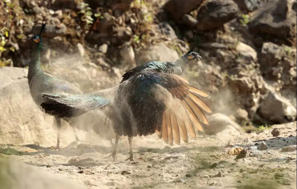 建水电站下游会断流吗 (建水电站对河水有影响吗)