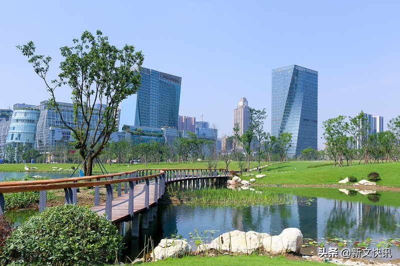 成都世警会赛事时间,2019年成都世警会