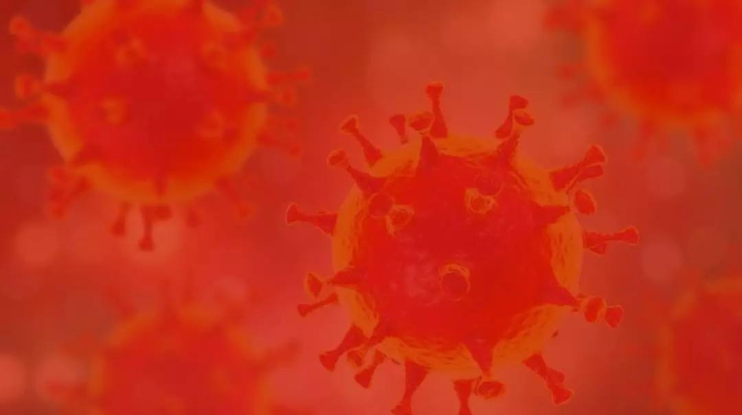 如何自己写一篇ppt,一位妹子花八个小时制作的ppt