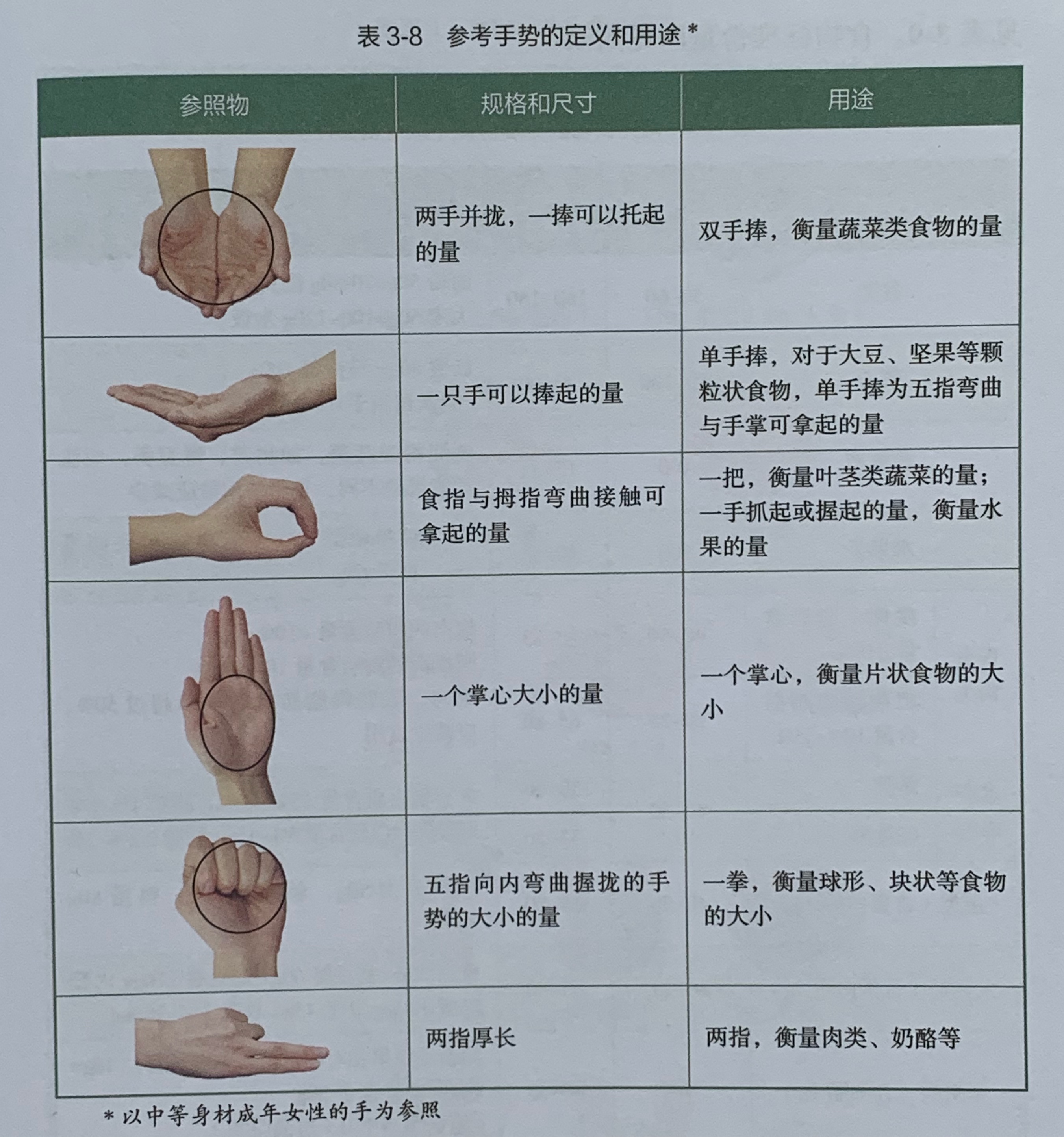 每顿吃一斤蔬菜多吗,每天吃一斤蔬菜吗