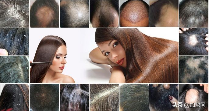 高回报加盟市场前景,加盟商机100种方法