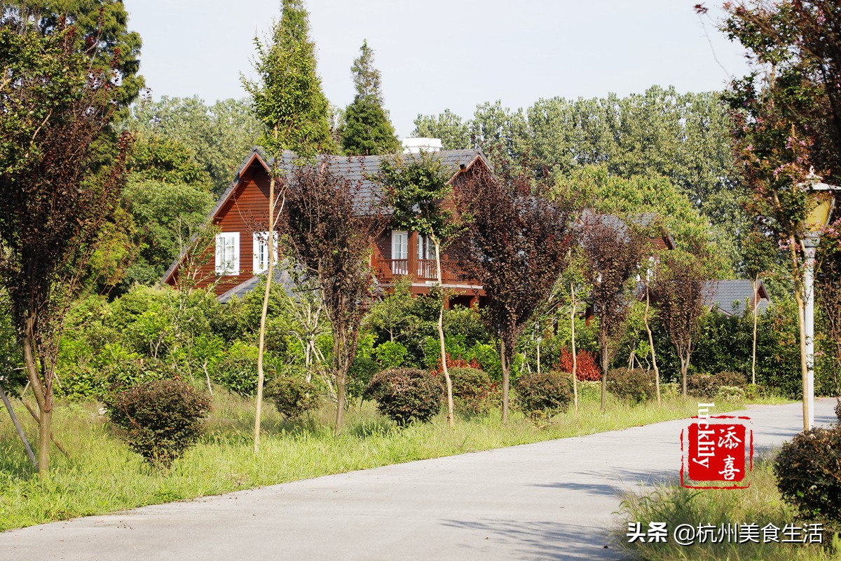 镇江美食三怪,镇江美食推荐锅盖面