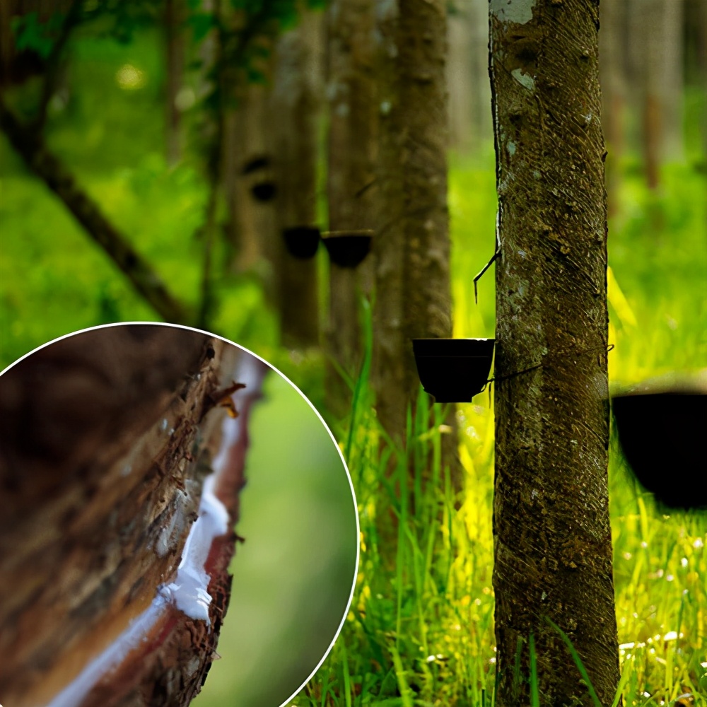 一看二闻三摸怎么辨别好坏,一看二摸三检测