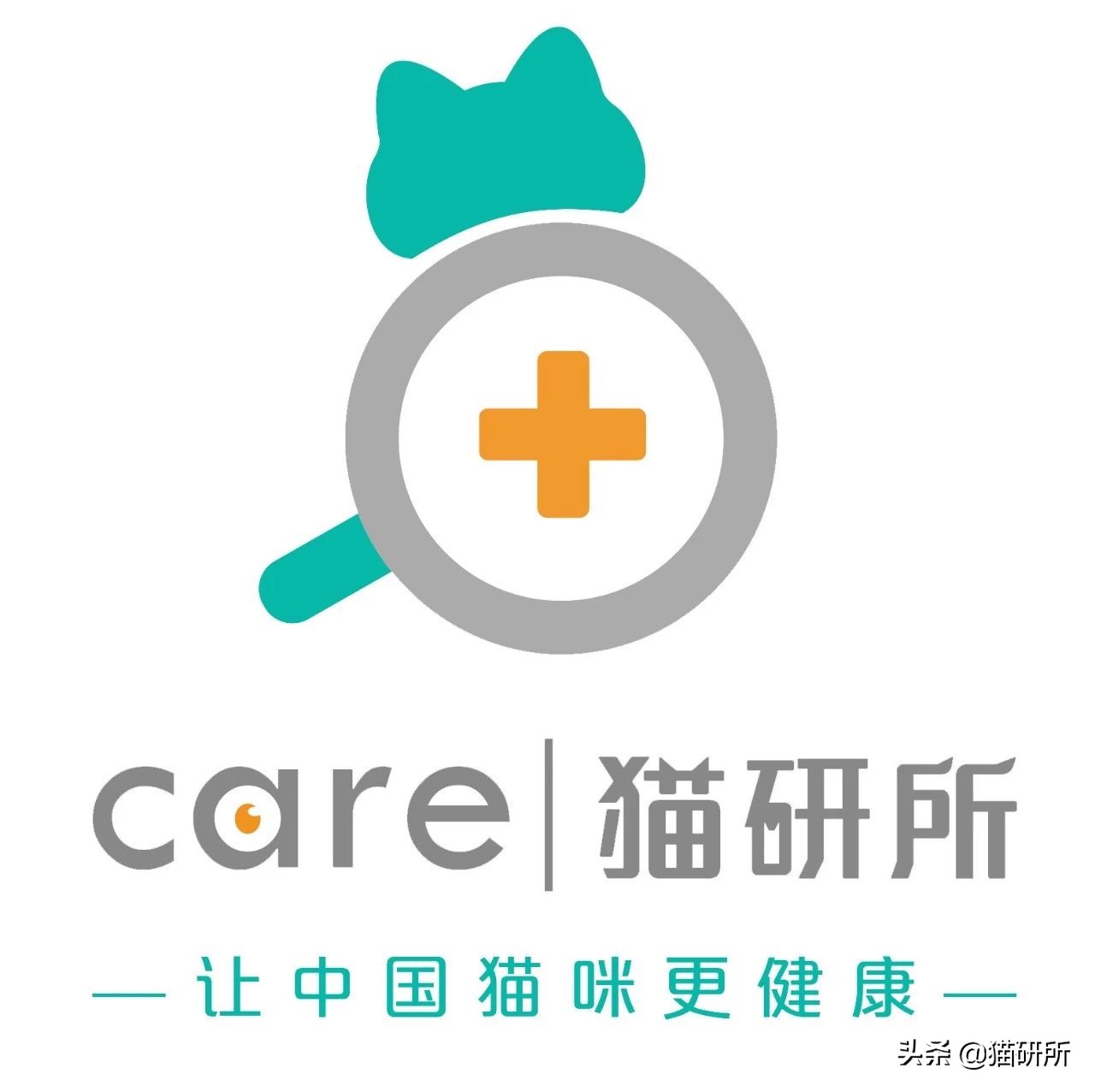 猫咪眼睛痒一直挠用什么眼药水,猫咪眼睛结膜炎怎么治疗