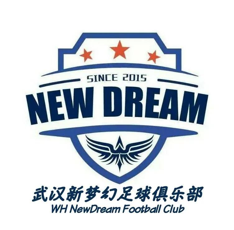 星耀五洲杯武汉队伍展示,星耀五洲足球湖北