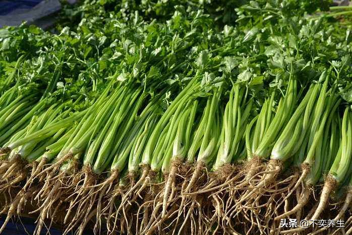 食养妙方之骨质增生