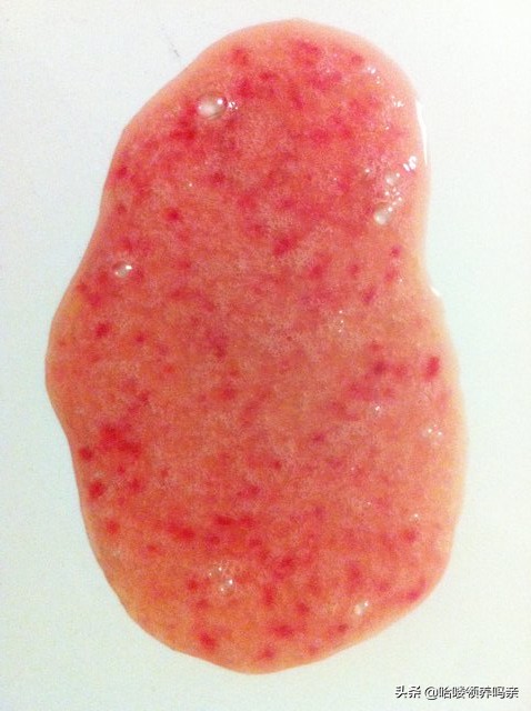 狗狗突然呕吐，背后的真相是什么？发现这几种情况，千万不能忽略