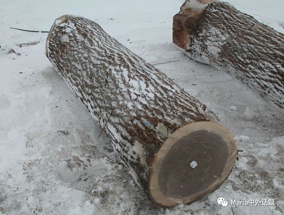 美国硬木干货价格,北美硬木排行