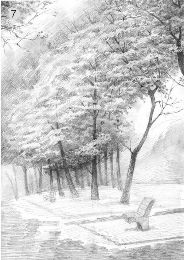 素描雨天树林图片简单版,用八开素描纸怎么画树林