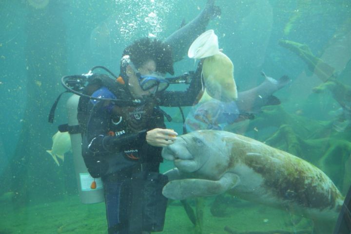 广东珠海12月旅游的最佳地方,珠海旅游攻略冬天最佳线路