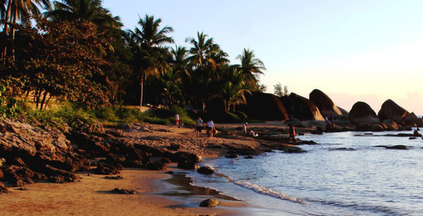 我的海南之旅作文,从海口到三亚感受海南的无限魅力