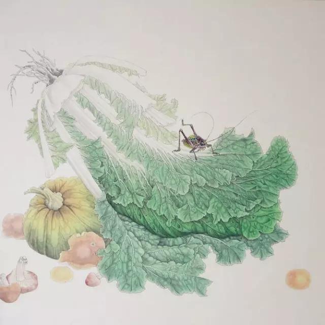 画白菜技法,3d白菜画