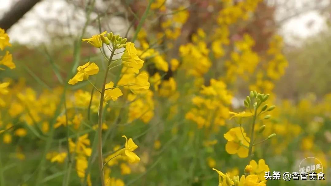 五一节特别篇,五一节推送