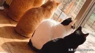 衡阳天气预报衡阳今天会下雨吗,衡阳气温今明两天预报表