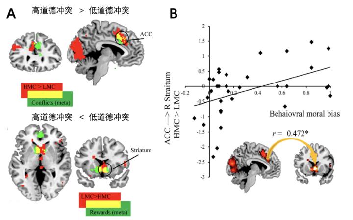 脑科学日报：“老年痴呆”要改名了？青年型痴呆的发病率超乎想象