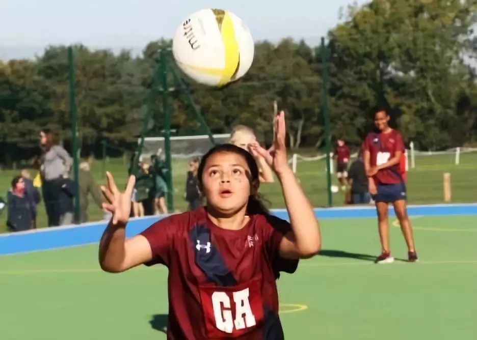 浼︽暒鐨囧澶у瀛﹂櫌浠嬬粛,浼︽暒鐨囧澶у