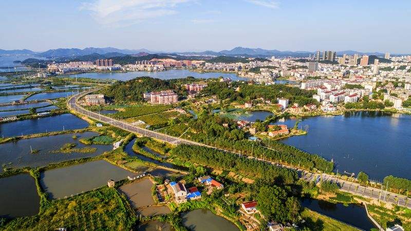 枞阳县gdp1999年,枞阳2023gdp能破200吗