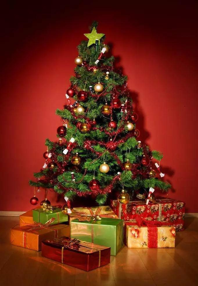 美到极致的成都,自然的才是最美的成都