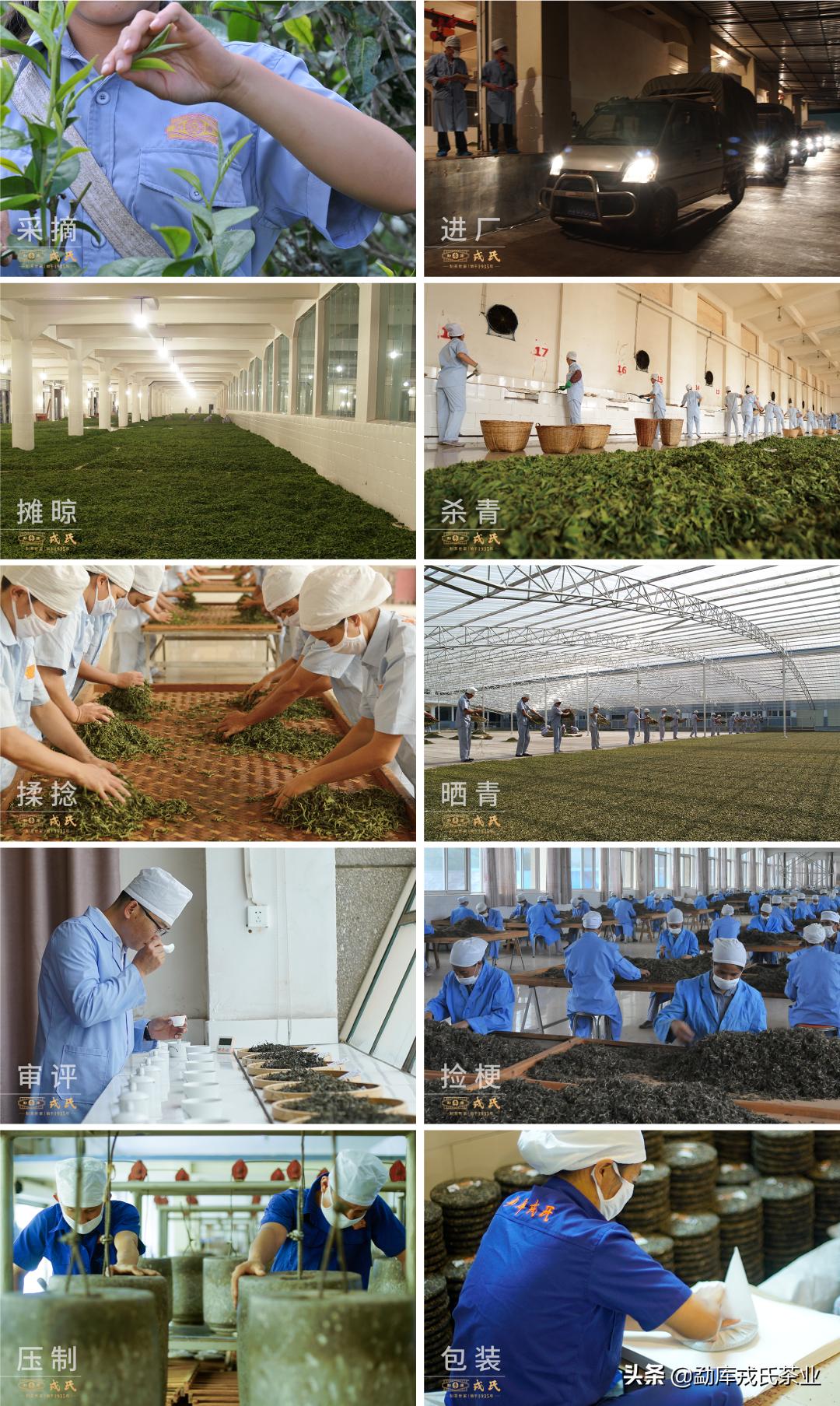 临沧普洱茶名茶排名前十名,临沧滇红茶第一名