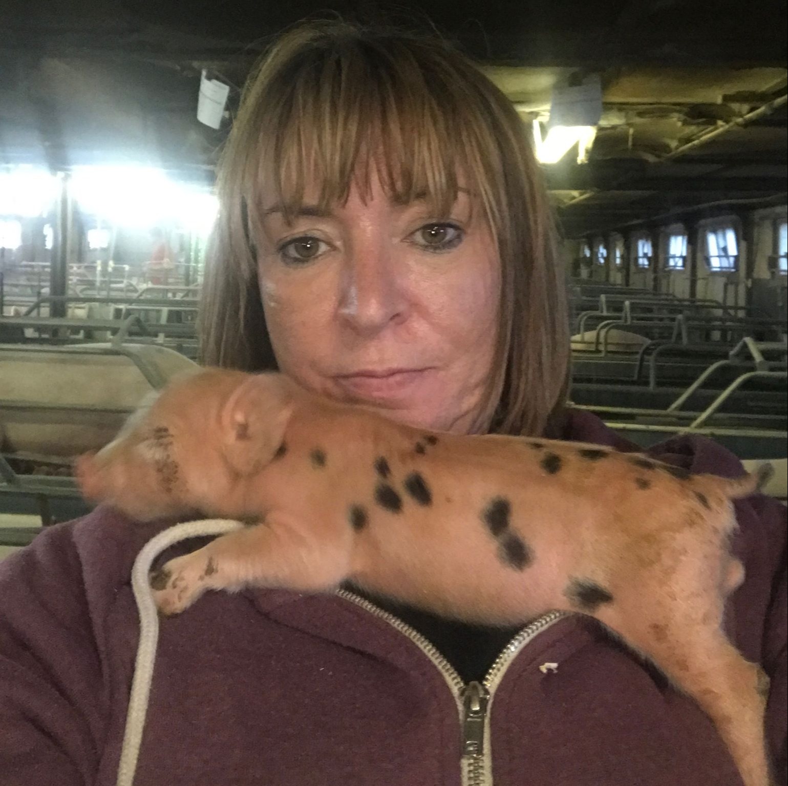 中了巨额大奖怎么花？他们比创意：有人成养猪户买二手衣服；有人半夜去超市买一包狗饼干；还有人搞发明创造