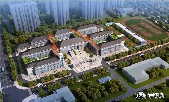 河南省实验小学白沙校区,河南省实验中学白沙2022招生