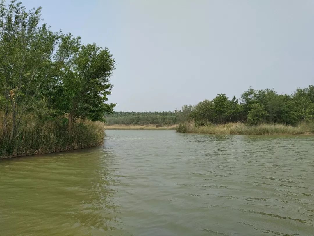 一个心灵的栖息地——游冠县马颊河生态旅游度假区有感