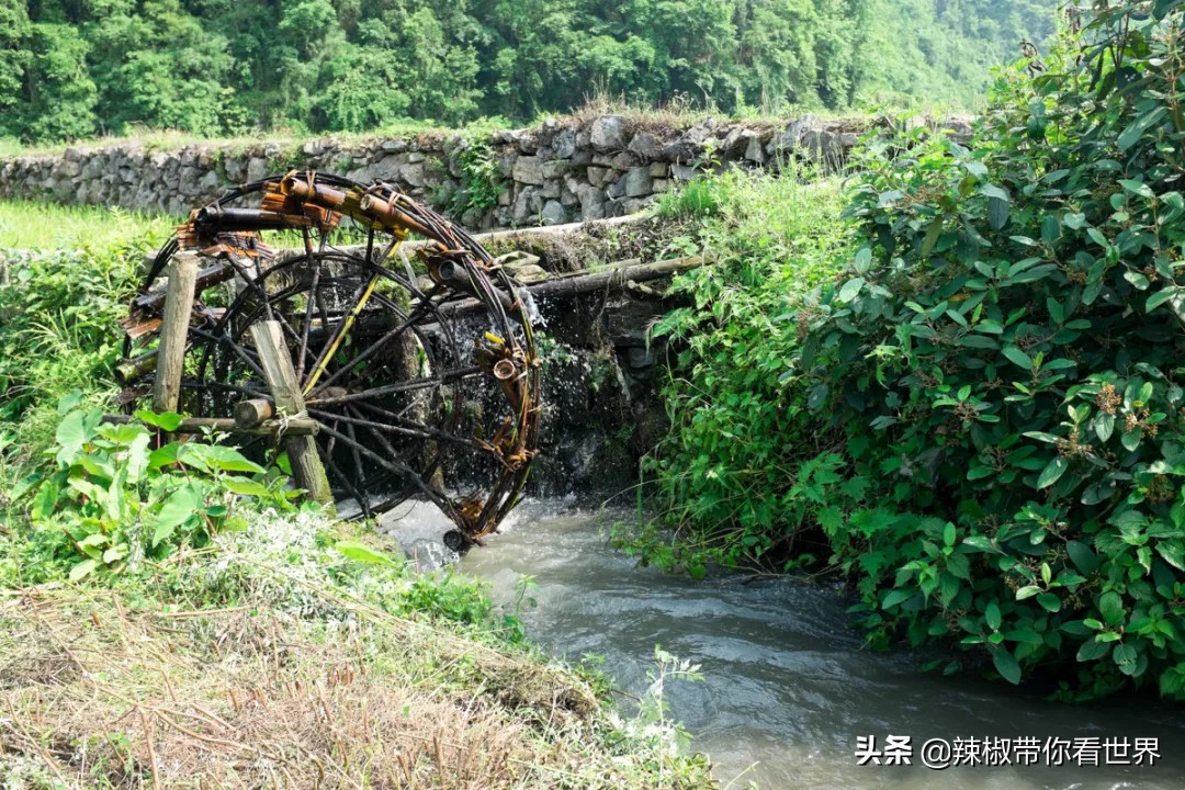 从西到东：贵州——沿河流“黔”行在这里一万种辣椒吃法向你奔来