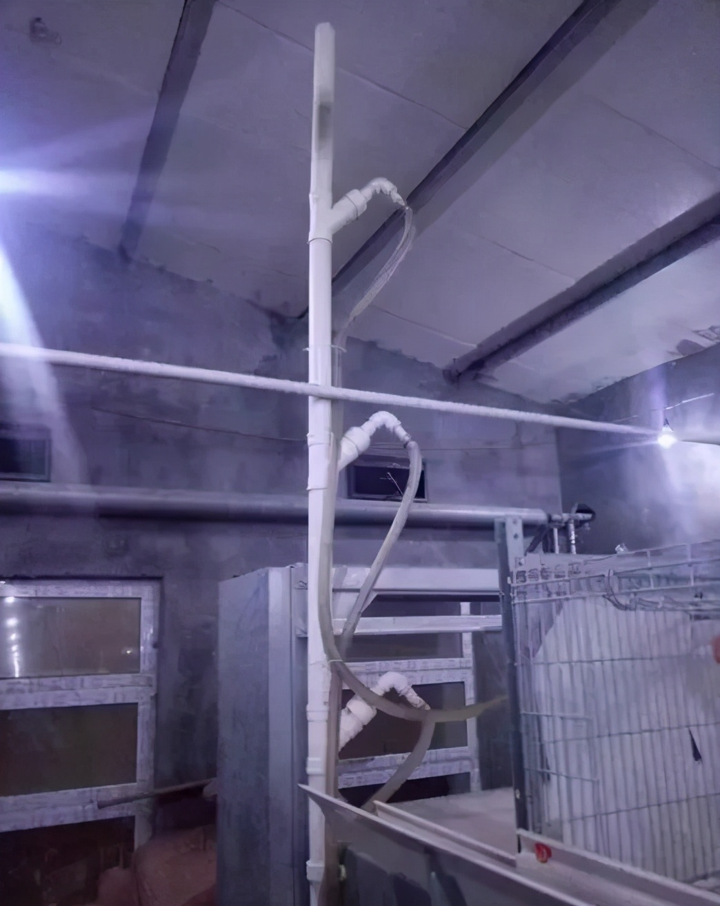 笼养肉鸡夏季管理,笼养肉鸡的管理