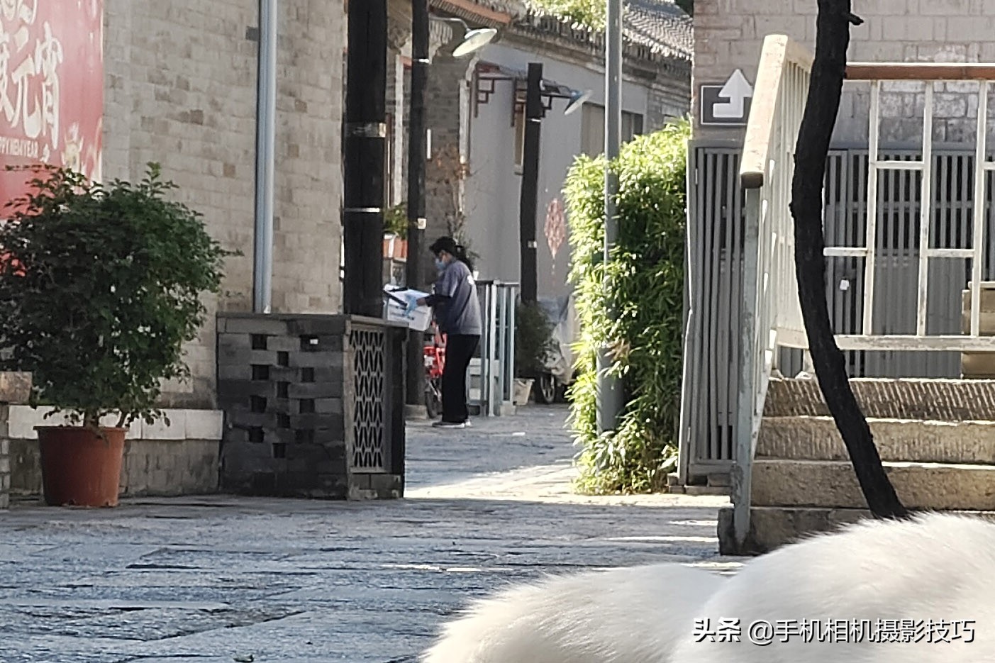 vivoX70Pro+是摄影新机皇？用完它那拉胯的长焦，我沉默了