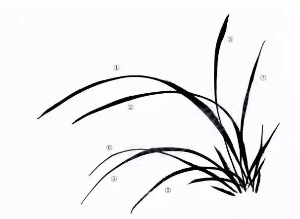 兰花绘画技法教程视频,泰国兰花绘画技法