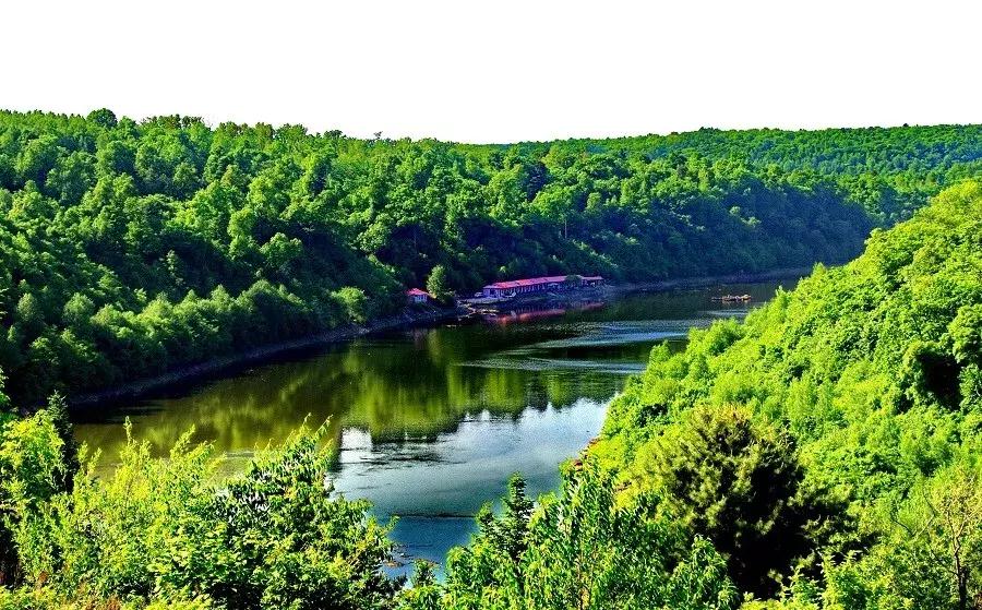 消夏季|我劝你哪凉快哪待着去！