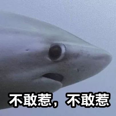 终结话题的聊天方法,终结尬聊经典语录