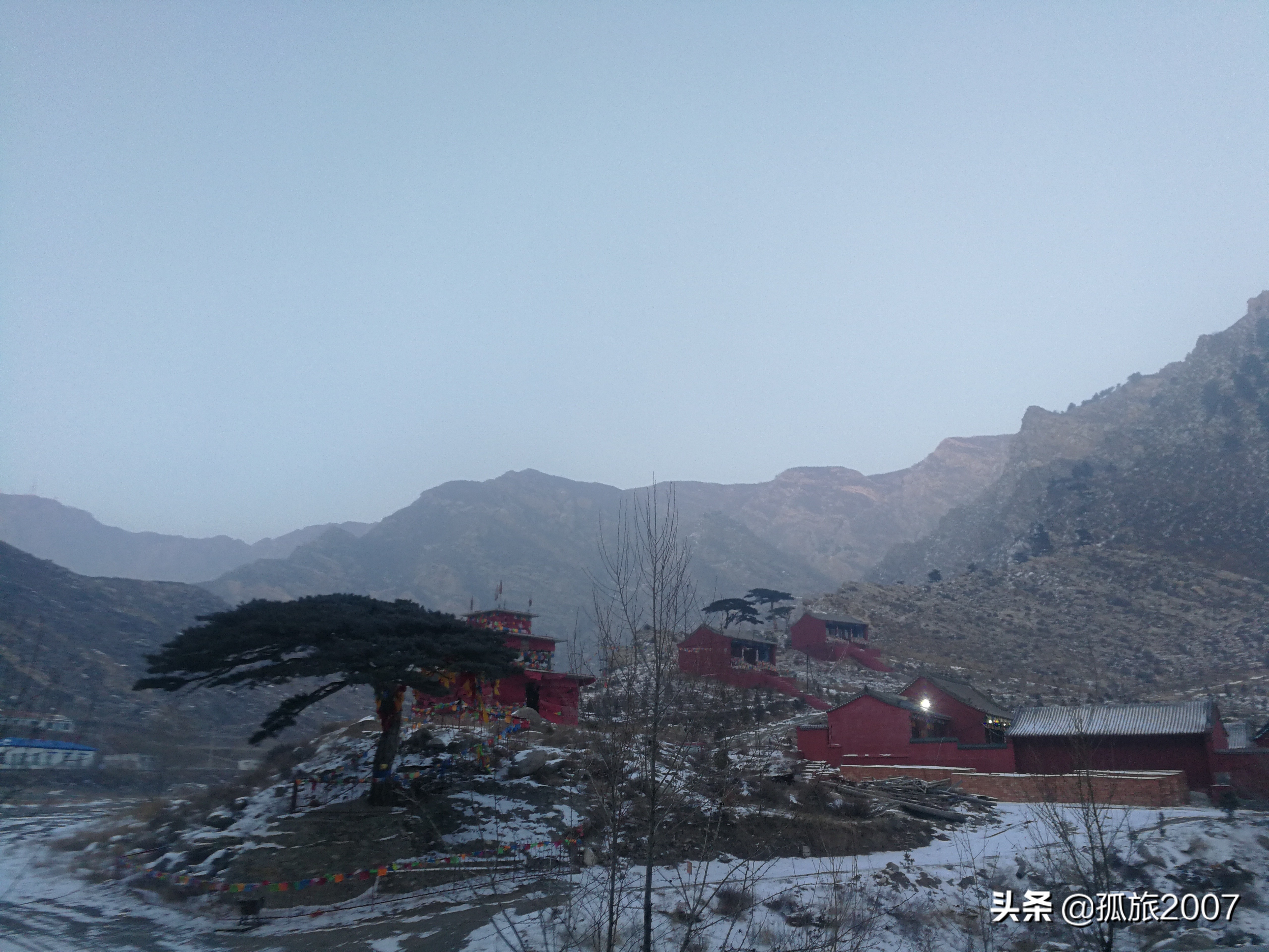 哈拉沁老爷庙迎客松多少年了,哈拉沁古庙