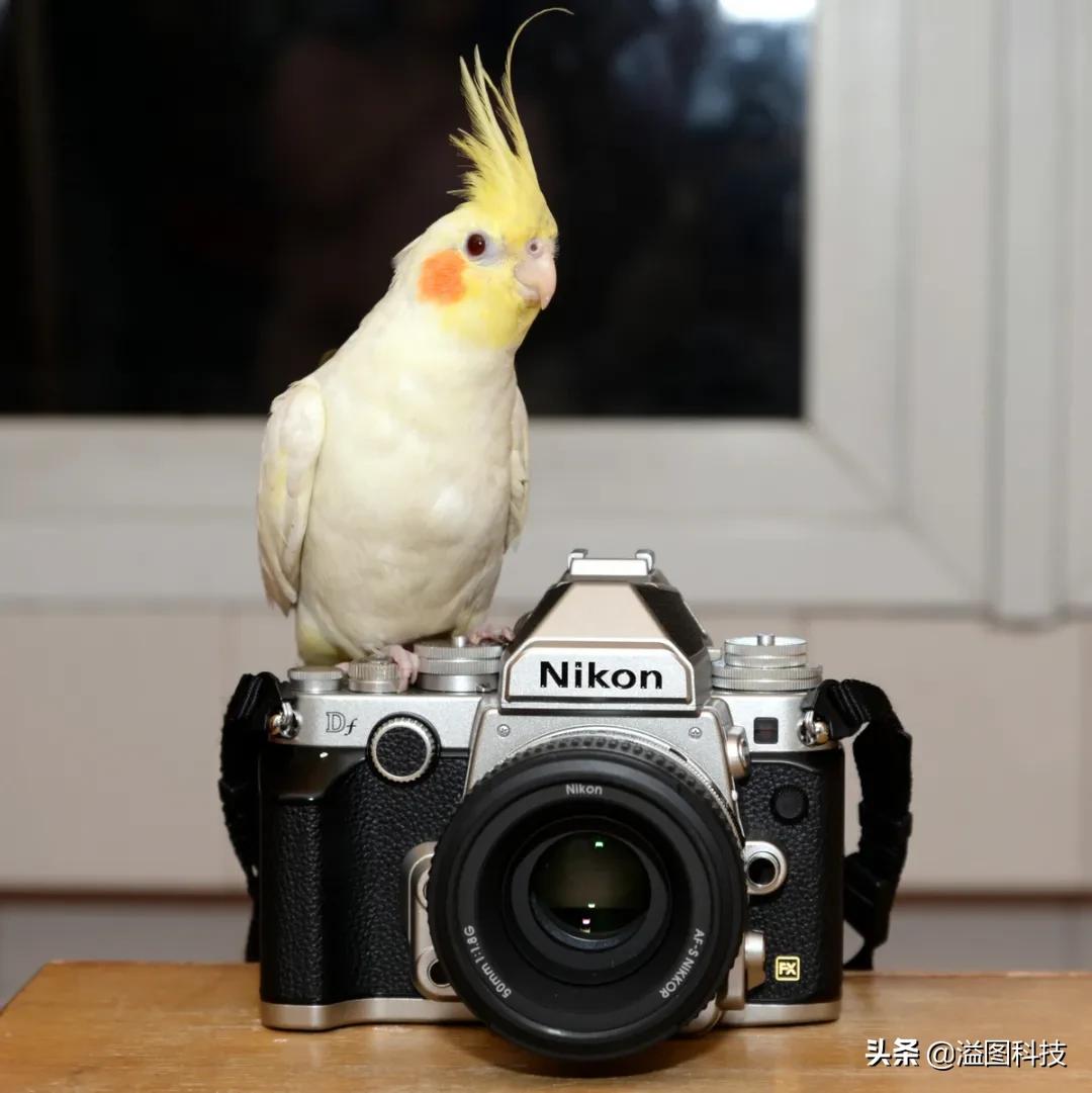 创业不谈感情,不谈感情谈价格