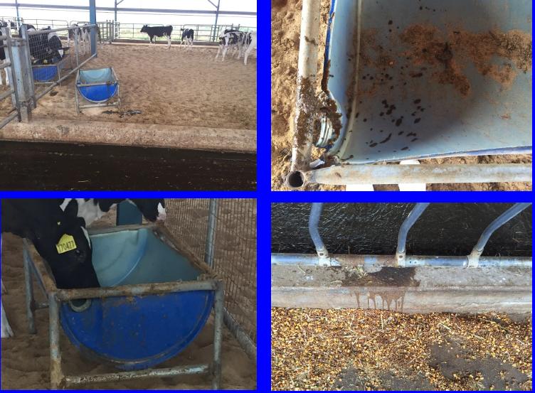 中国农大预防兽医,中国农业大学潘保良