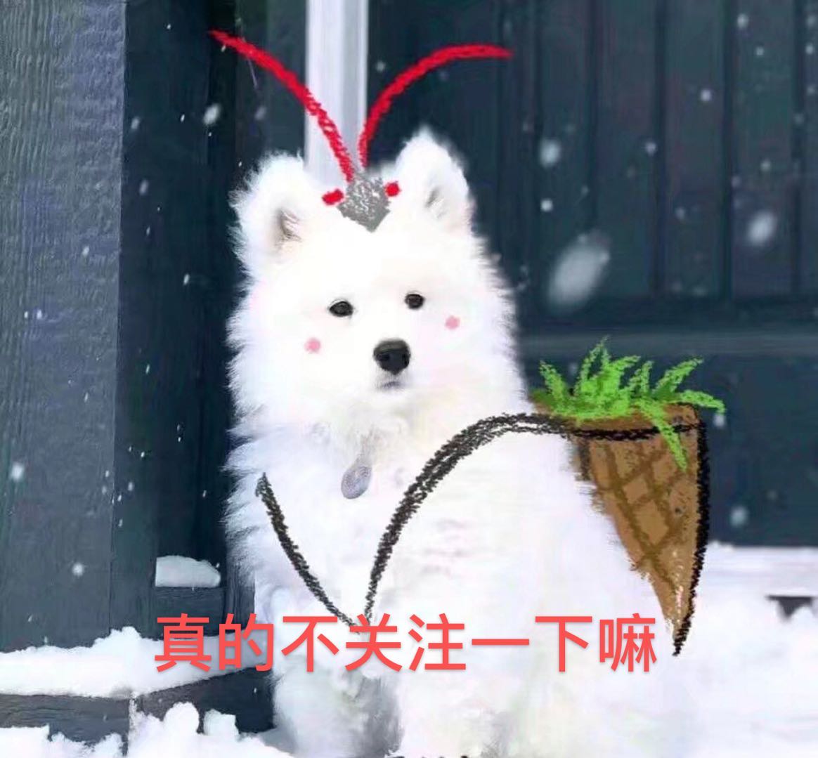 孙千演技大赏,孙千被评价