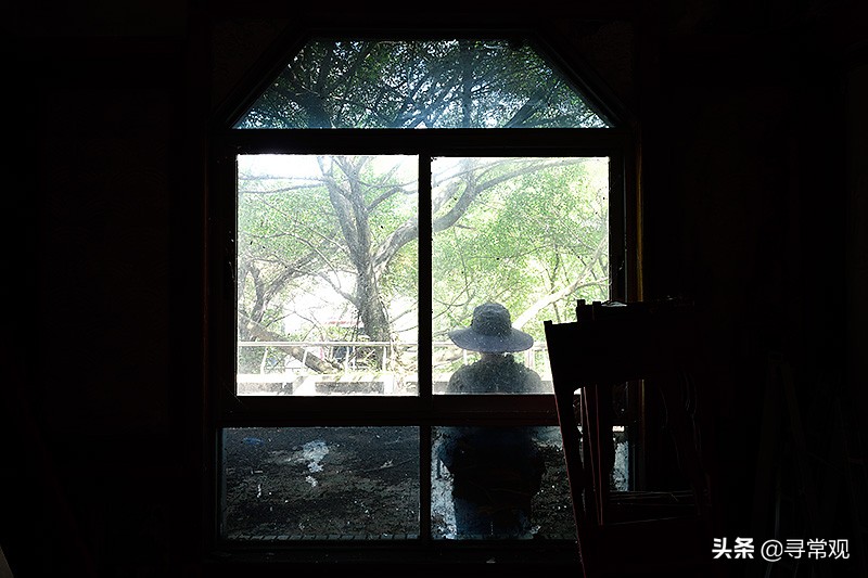 探秘重庆被人遗忘的废墟,被植物吞噬的小区