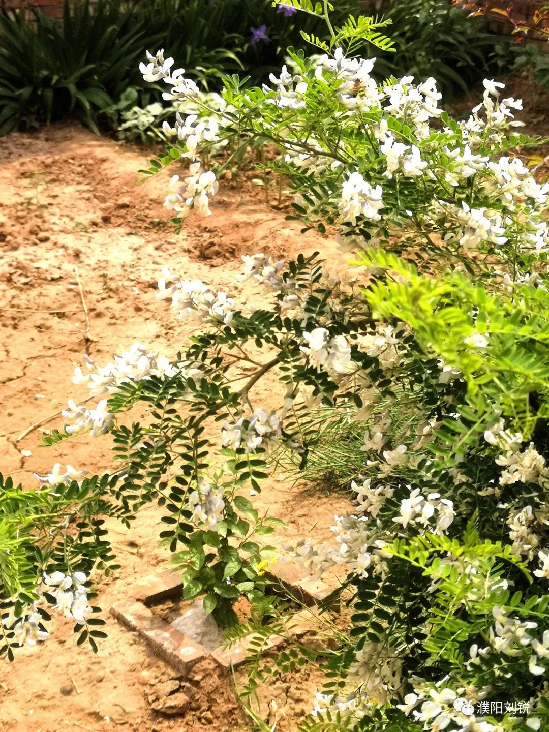 瓒ｈ鏋楀啿,瓒ｈ娑炴簮