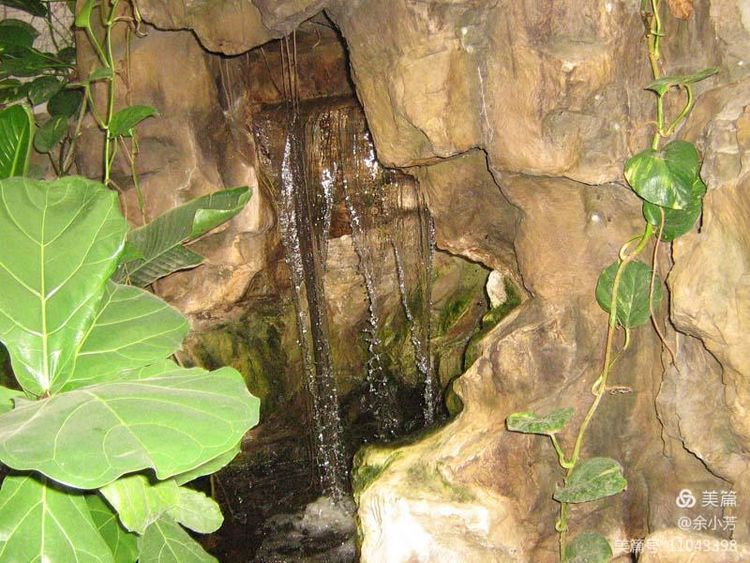 上海野生昆虫馆,上海昆虫馆门票多少