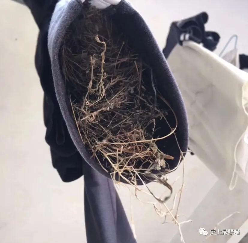 “教你怎么和家里的长辈微信聊天？”这操作太骚了！