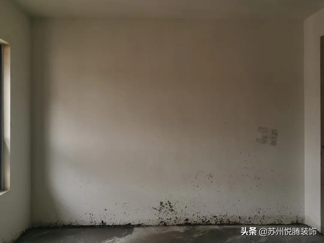 丹姐聊装修·146期|江南院子·上叠