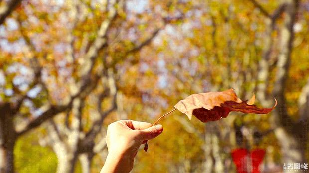 立秋，立秋！这43件事，上海人必须要去做