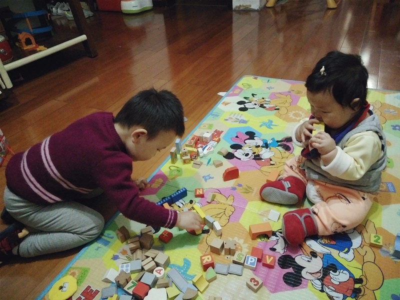 锻炼专注力的玩具,玩具太多会影响孩子的专注力