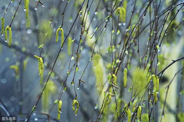 《中华诗坛》古诗词赋（12）