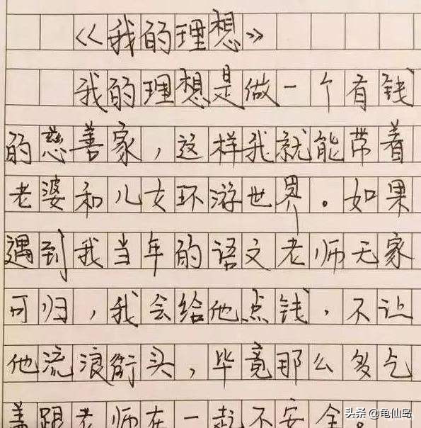 我的梦想是当一名医生小学生作文,小学作文我的理想是做一坨鸡屎