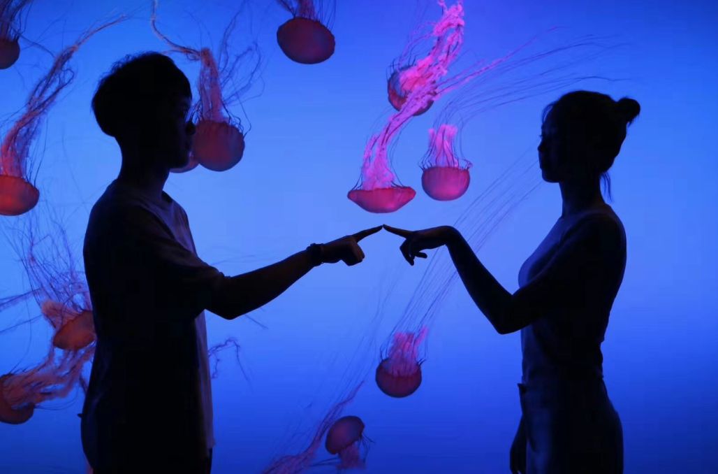 南京海底世界小朋友要票吗,南京海底世界99元一大一小套票