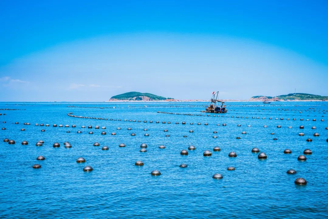 美过三亚！比厦门浪漫！中国这座海滨老城，去一次相当于环游世界