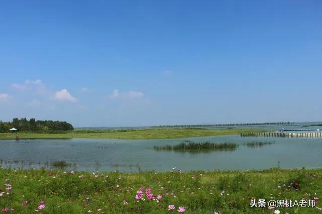 巢湖四中学校咋样,巢湖四中是最强的吗