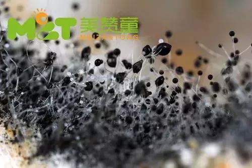 大人拉痢疾吃什么食物,儿童腹泻拉肚子家长千万注意